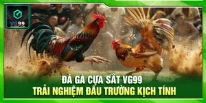 Đá Gà Cựa Sắt VG99 – Trải Nghiệm Đấu Trường Kịch Tính
