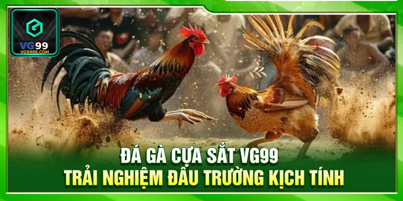 Đá Gà Cựa Sắt VG99 – Trải Nghiệm Đấu Trường Kịch Tính
