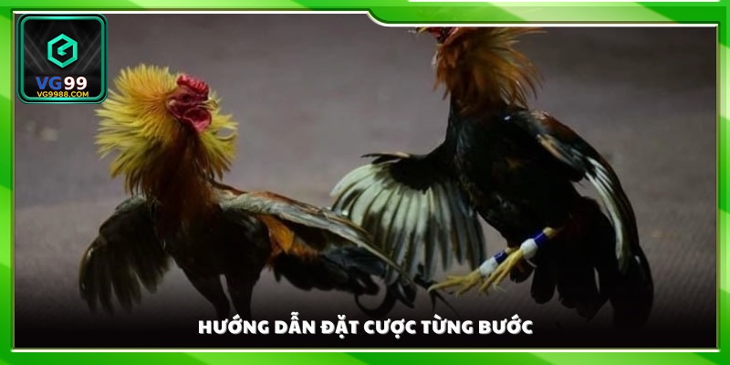 Cách để tham gia đặt cược chi tiết